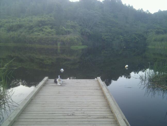 Kotare Ridge Bed & Breakfast Waihi Bagian luar foto