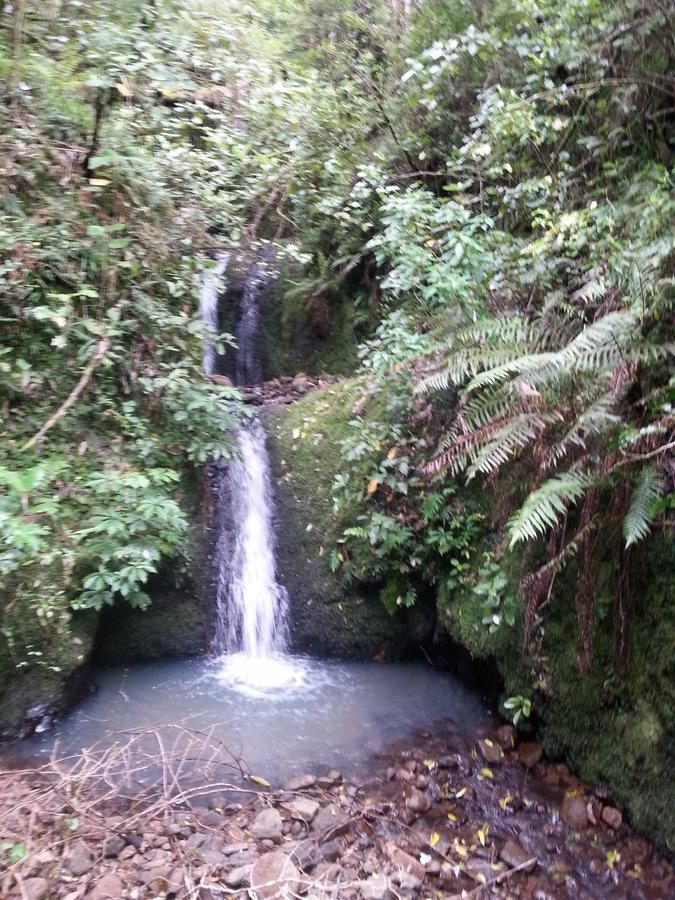 Kotare Ridge Bed & Breakfast Waihi Bagian luar foto